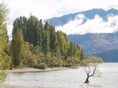 Fall on Lake Wanaka