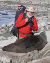 Hein Seal Kaikoura