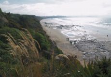 Moeraki Beach