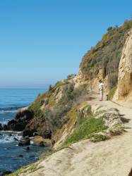 Wil Oamaru cliff path