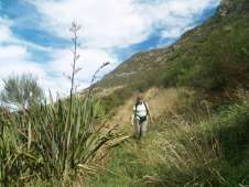 Wil down to Lyttleton