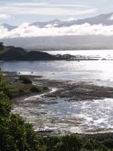 Kaikoura Coast