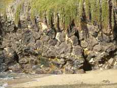 pillow lava