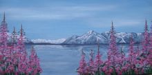 Atlin in July
