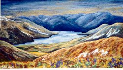 Caribou Country 2001