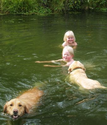 de kleinkinderen met honden: paradijs! 
