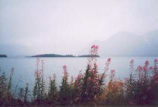 Hazy Lake