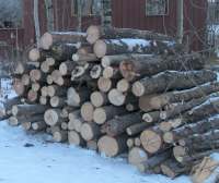 woodpile